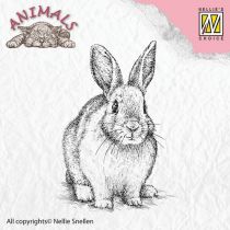 Clear Stamps rabbit