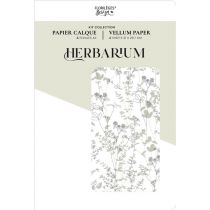 Kit calque HERBARIUM a4