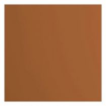 Papier Cartonné Lisse FLORENCE 216G - Marron