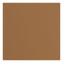 Papier Cartonné Texturé FLORENCE 216G - Marron