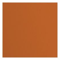 Papier Cartonné Texturé FLORENCE 216G - Orange