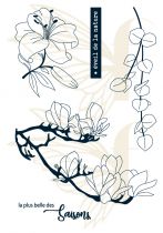 Tampons transparents A6 - Magnolia